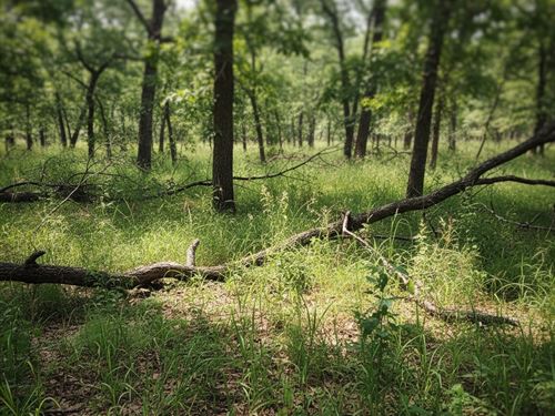 15 Acres Near Meeker OK : Meeker : Lincoln County : Oklahoma