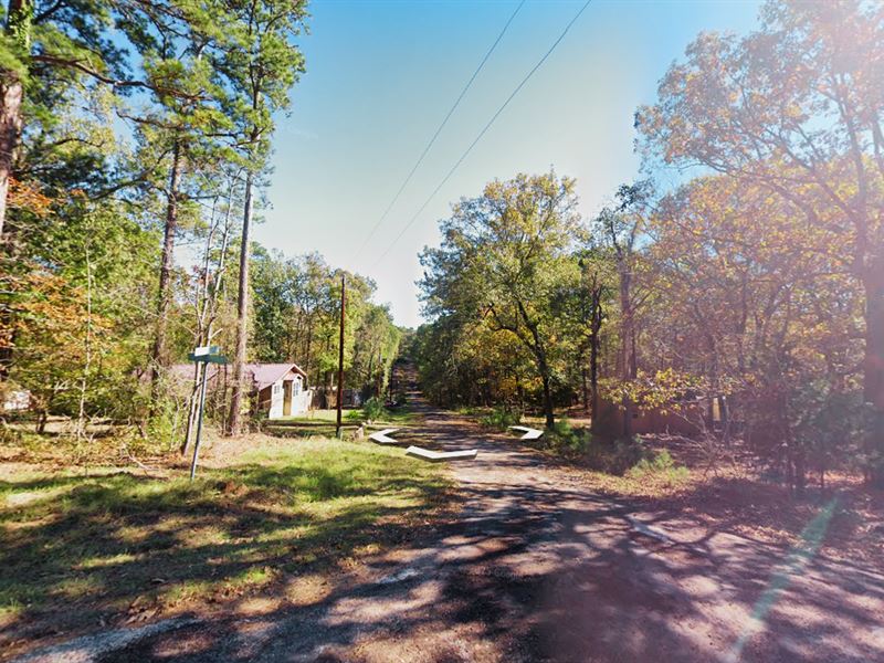 Cheap Land in Marion County TX : Avinger : Marion County : Texas