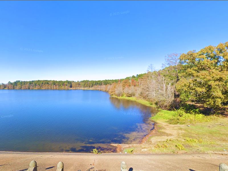 Near Lake, 0.1 Acre, Private Lot : Avinger : Marion County : Texas