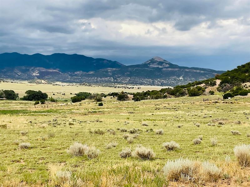 Lot 100 County Rd. 542 Unit Dd, Cl : Gardner : Huerfano County : Colorado