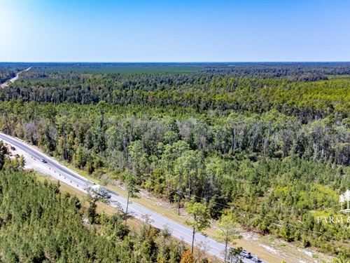 34 Ac Homesite on Hwy 71 Near Bloun : Blountstown : Calhoun County : Florida