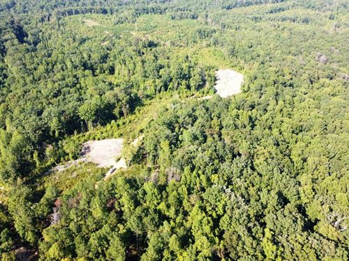 Moreland Property : Houston : Winston County : Alabama