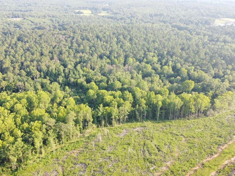 420 Acres, Talladega, AL : Talladega : Talladega County : Alabama