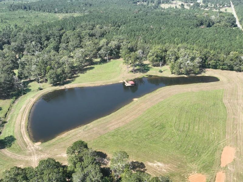 52.5 Acres Of Recreational Land : Ellisville : Jones County : Mississippi