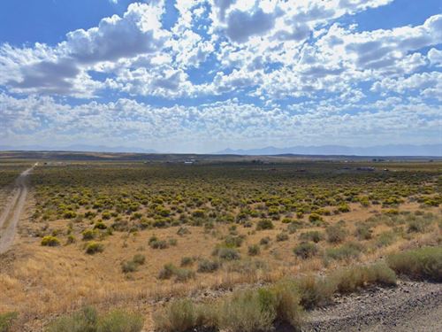 Wide-Open Space Mins From Elko : Elko : Nevada