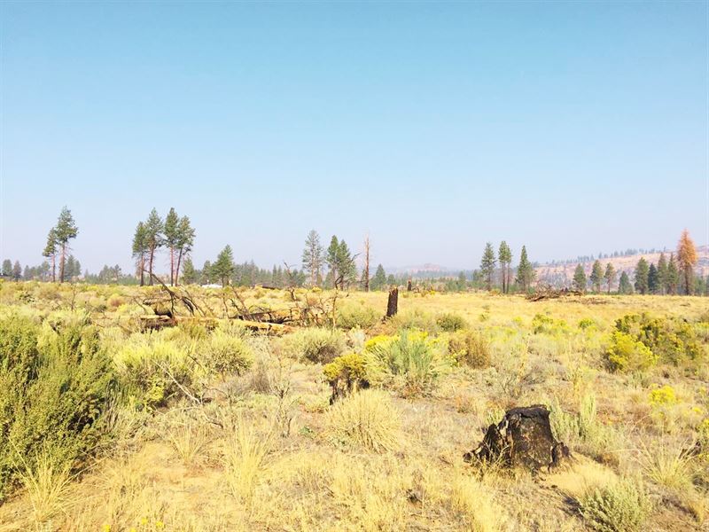 Close to Crater Lake, 2.4 Acres : Klamath Falls : Klamath County : Oregon
