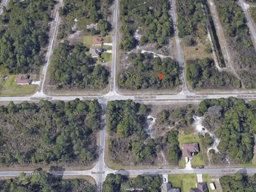 Prime Investment Opportunity : Lehigh Acres : Lee County : Florida