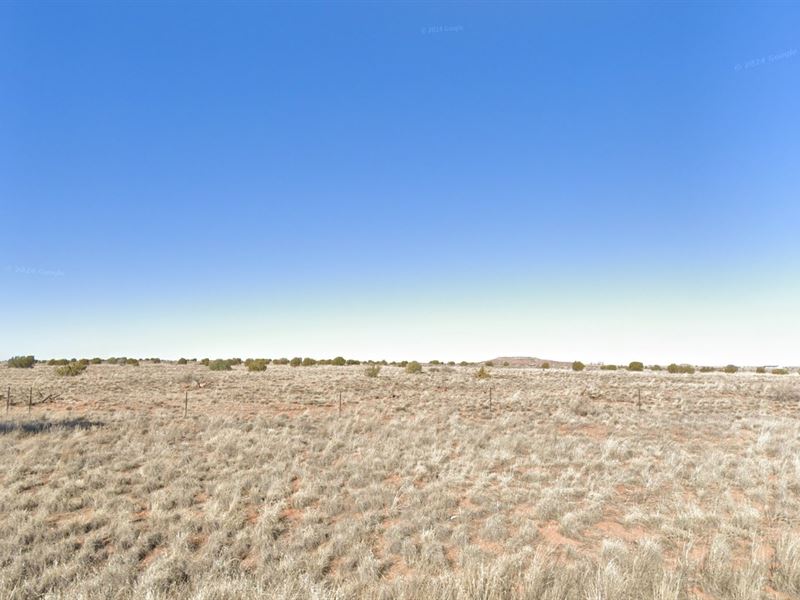 No-Hoa Land with Mountain Views : Snowflake : Navajo County : Arizona