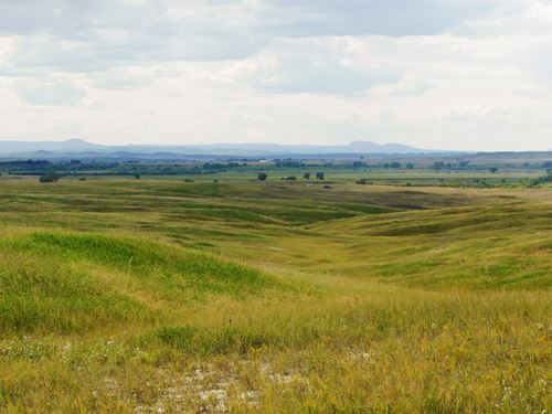 Riley Road Pasture : Nisland : Butte County : South Dakota