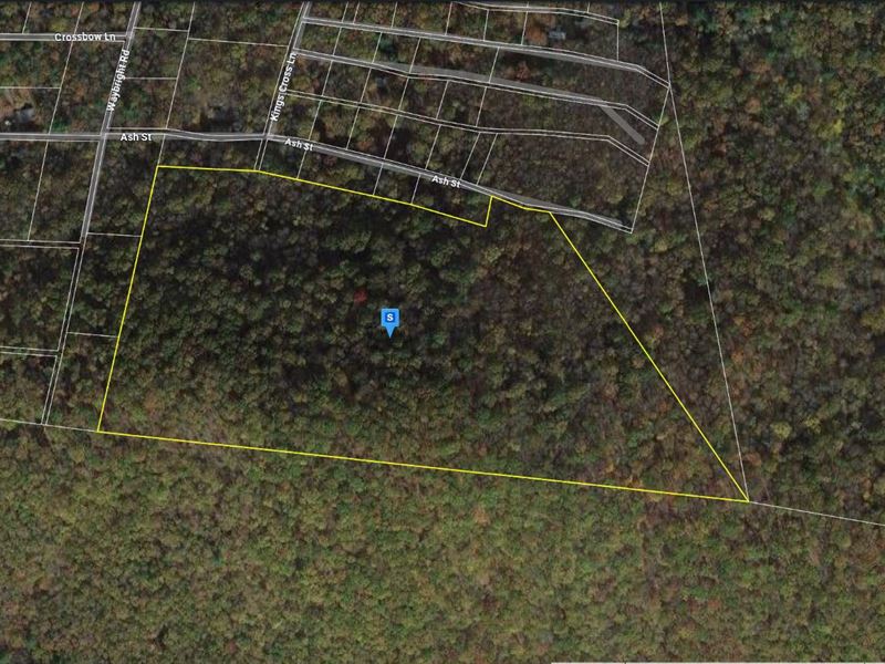30 Acres in Pocahontas County WV : Green Bank : Pocahontas County : West Virginia