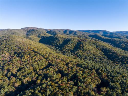 30 Acres in Pocahontas County WV : Green Bank : Pocahontas County : West Virginia