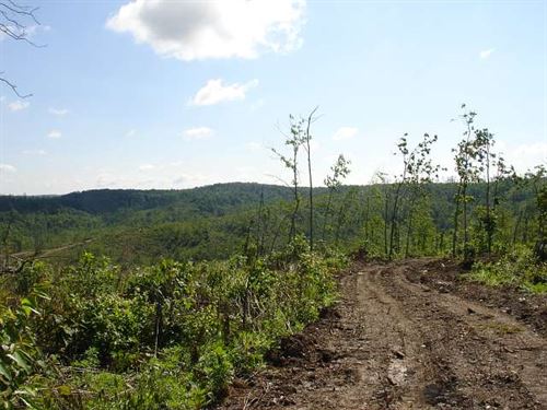 Off Grid Land $999 Down : Bunker : Shannon County : Missouri