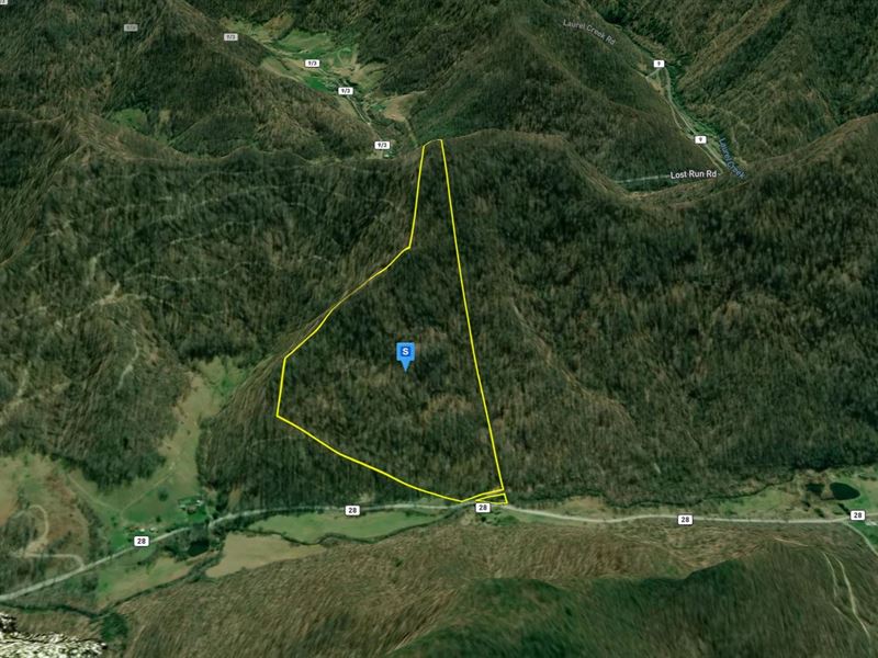 38.2 Acres in Webster County WV : Cowen : Webster County : West Virginia