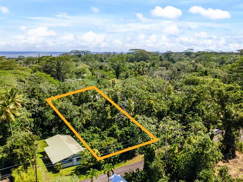 $1,100.63 Down, Pahoa Getaway Lot : Pahoa : Hawaii County : Hawaii