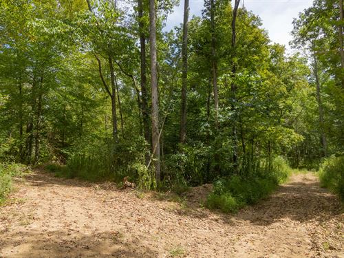 Multiple Avail, $999 Down Per Lot : Flatwoods : Perry County : Tennessee