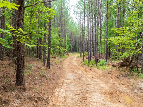 As Low as $499 Down : Lexington : Henderson County : Tennessee