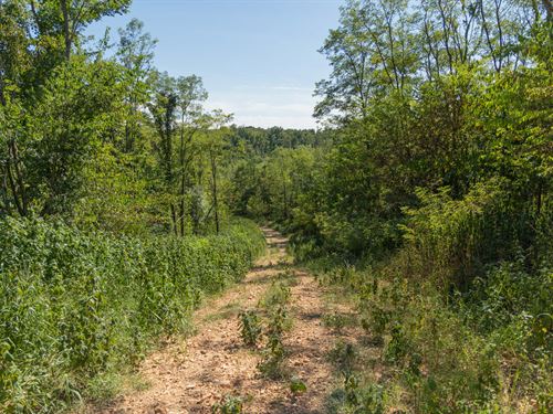 Own Off Grid Land, no Credit Check : Flatwoods : Perry County : Tennessee