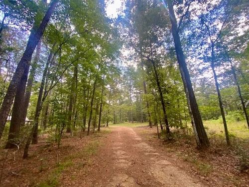 Home On 13.44 Acres, Summit, MS : Summit : Amite County : Mississippi
