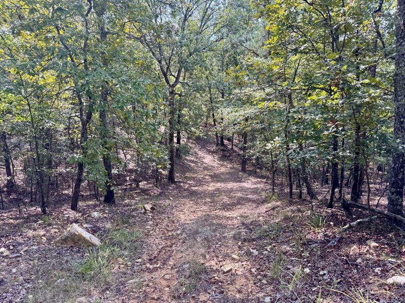 Lonsdale 93 : Lonsdale : Garland County : Arkansas
