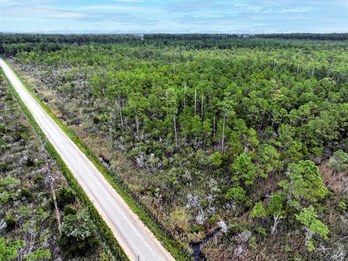 12 Acres of Seclu : Hobucken : Pamlico County : North Carolina