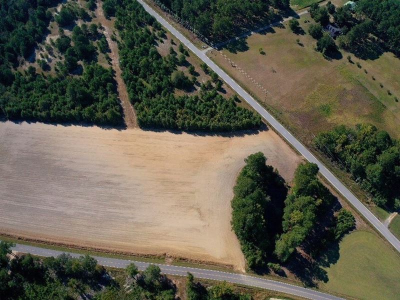 17.34 Acres of Farm, Hunting, or DE : Temperance Hill : Marion County : South Carolina