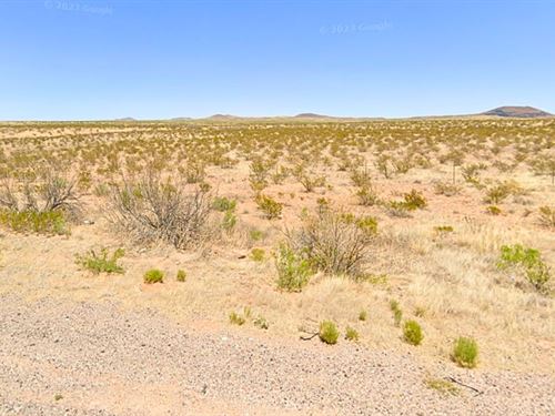 Lot with Plethora of Potential : Deming : Luna County : New Mexico