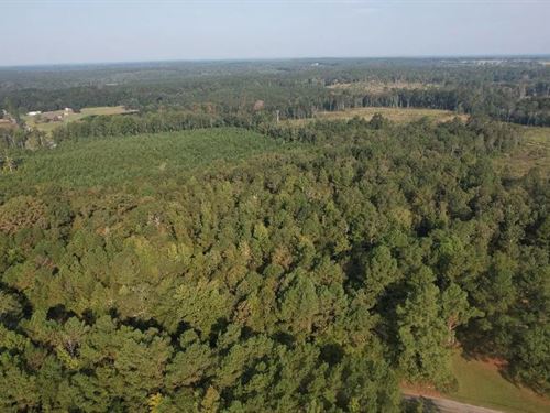 20 Acres in Newton County in Union : Union : Newton County : Mississippi