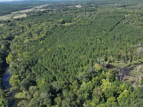 South Fourche Hunting & Timber : Plainview : Perry County : Arkansas