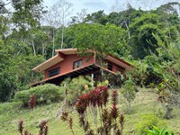 Reventazon Valley Estate : Turrialba : Costa Rica