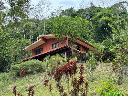 Reventazon Valley Estate : Turrialba : Costa Rica