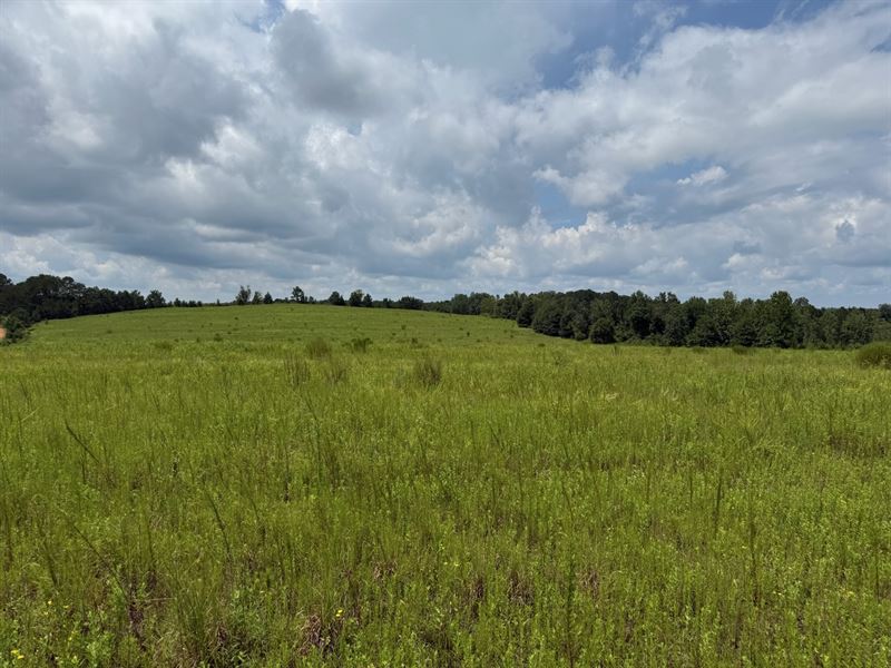 Fifty Plus : Clopton : Barbour County : Alabama