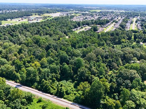 Wooded with Creeks & Utilities : Tuscaloosa : Alabama