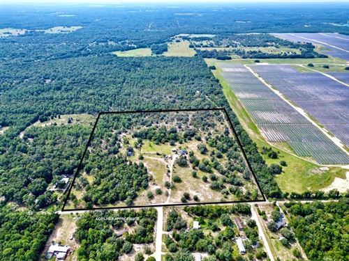 40 Acres in Archer, Florida : Archer : Alachua County : Florida