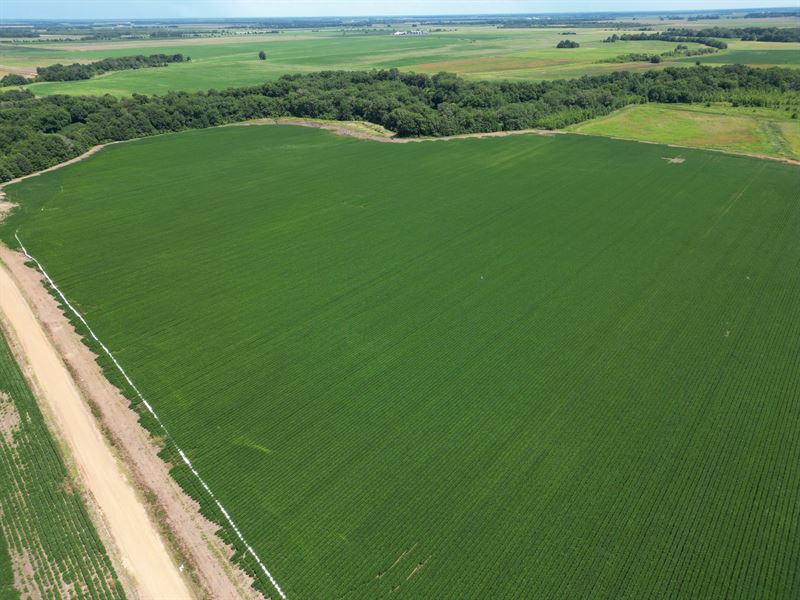 Irrigated Ag Land with Recreational : Drew : Tallahatchie County : Mississippi