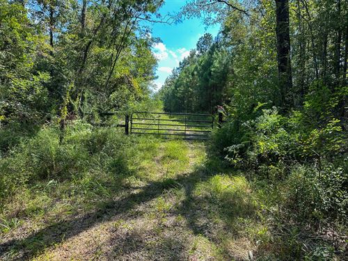 37 Acres in Amite County, Ms : Gloster : Amite County : Mississippi