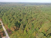 33.3 Acres Guntown, MS : Guntown : Lee County : Mississippi