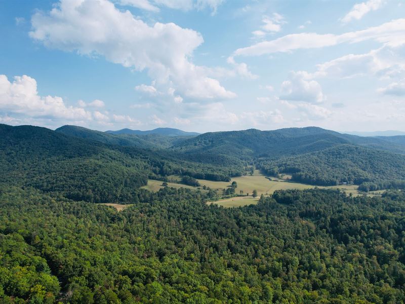 150 Acres, Fannin County, GA : Hemp : Fannin County : Georgia