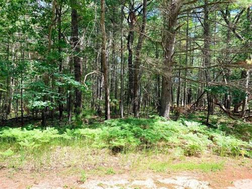 Beautiful Half Acre Vacant Lot : Denton : Roscommon County : Michigan