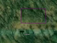 Tranquil.14 Acre Wooded Lot Lower : Lee Township : Allegan County : Michigan