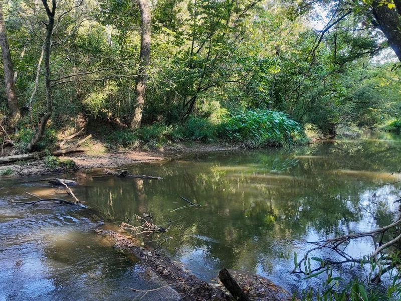 30 Acre Amite River Hunting Tract : Liberty : Amite County : Mississippi