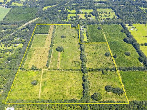 Alachua Estate Preserve : Newberry : Alachua County : Florida