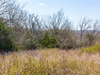 $999 Down Land Near The Lake : Canadian : Pittsburg County : Oklahoma