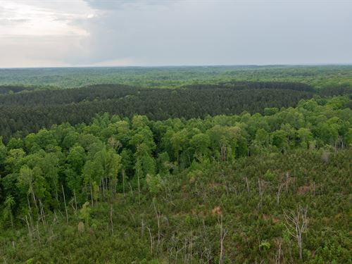 As Low as $499 Down : Holladay : Benton County : Tennessee