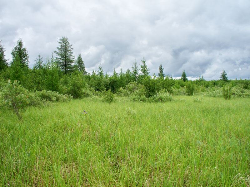 Rec Land Borders National Forest : Waskish : Koochiching County : Minnesota