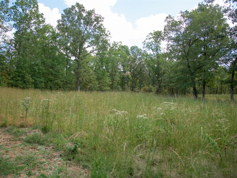 Own Land Today, no Credit Check : Lennox : Dent County : Missouri