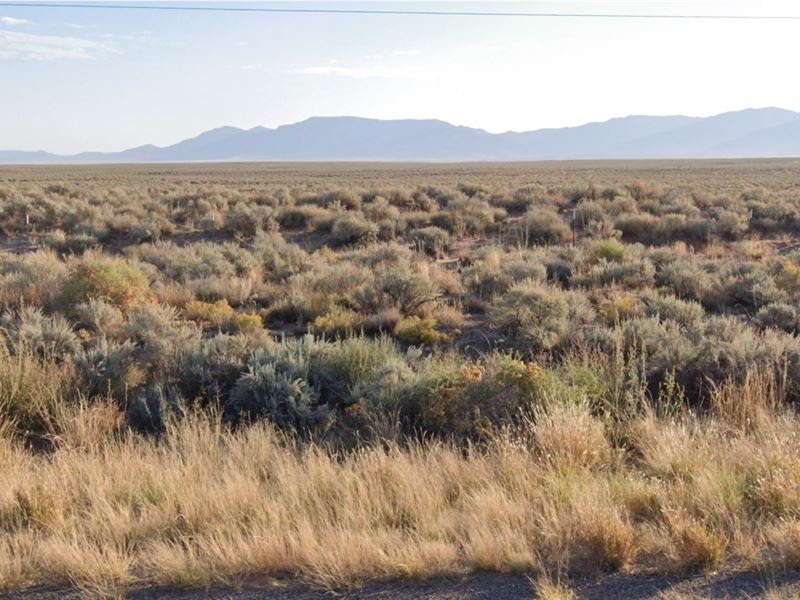 1 Acre Lot with Power Off Rt 47 : Belen : Valencia County : New Mexico