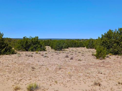 Build Your Home with Space to Grow : Saint Johns : Apache County : Arizona