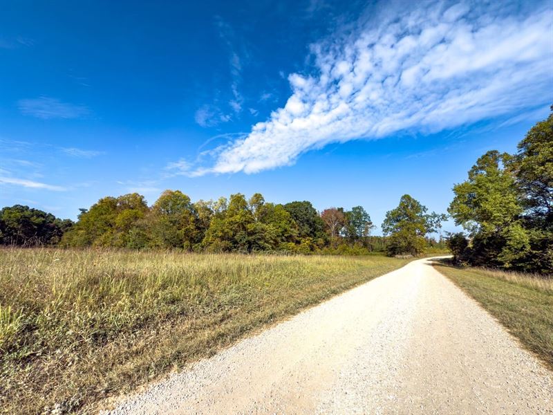 Perry Ridge Rd Tract 1, 10 Acres : Wilkesville : Vinton County : Ohio