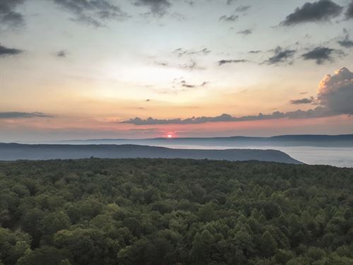 534 Acres In Sequatchie County, TN : Dunlap : Sequatchie County : Tennessee