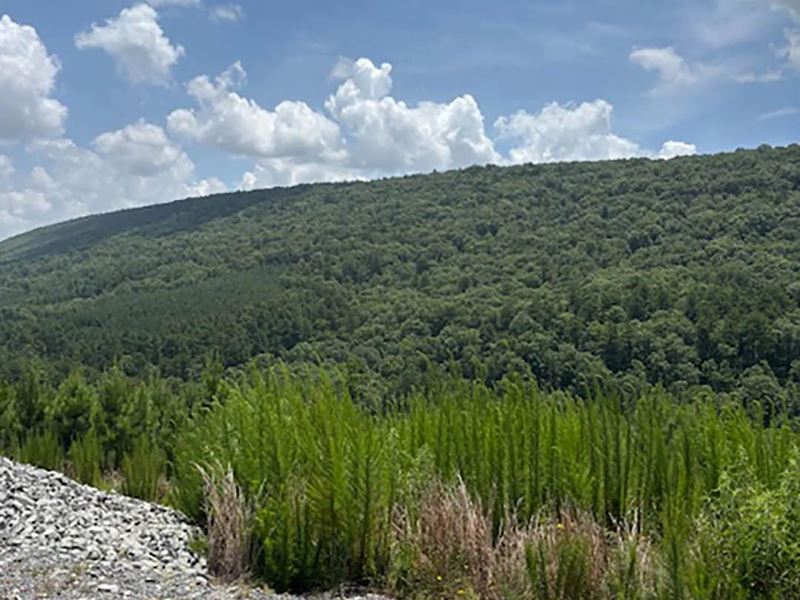 30 Acres in Leflore County, OK : Honobia : Le Flore County : Oklahoma
